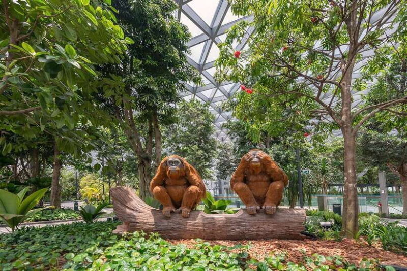 Jewel Changi Airport: Hedge Maze and Canopy Park Ticket - Real Traveler Perspectives