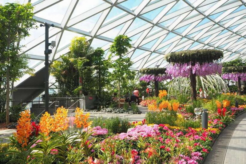 Jewel Changi Airport: Mirror Maze and Canopy Park Ticket - Key Points