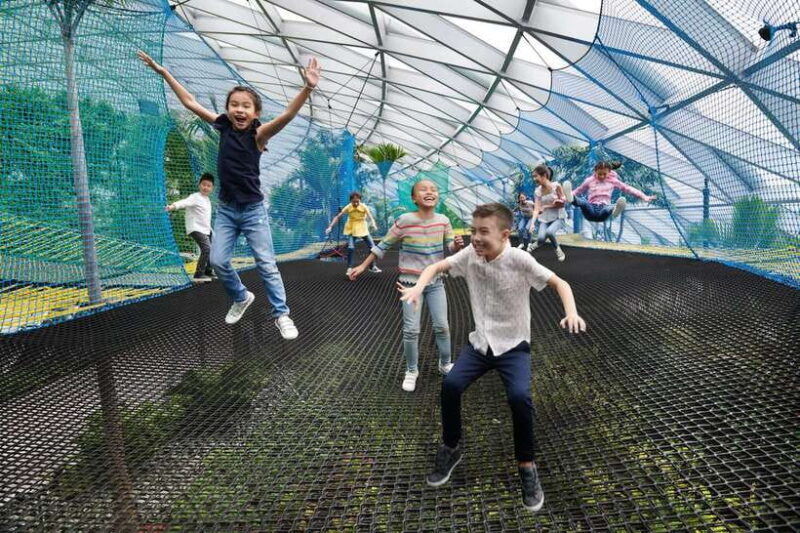Jewel Changi Airport: Sky Nets Admission Ticket - Analyzing the Price and Value