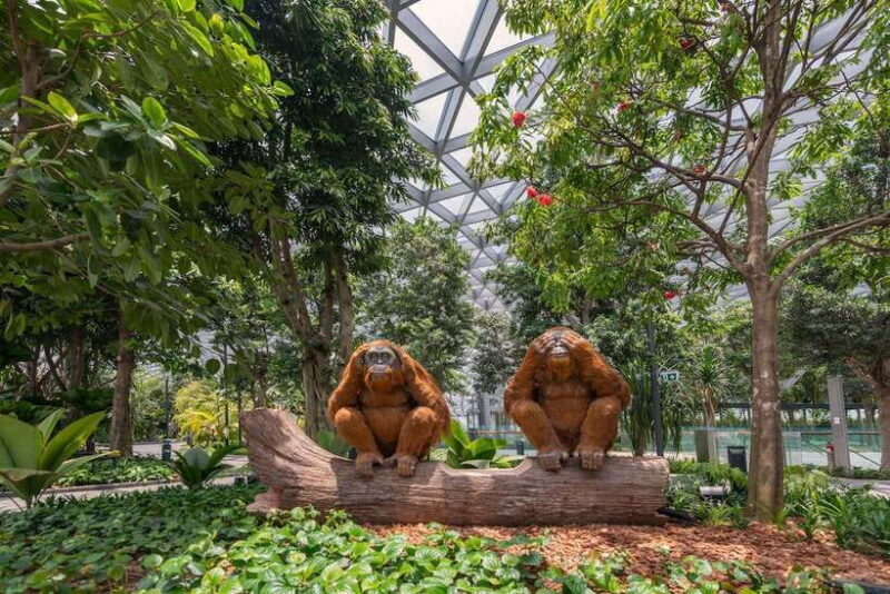 Jewel Changi Airport: Sky Nets Admission Ticket - Who Will Enjoy This Experience?