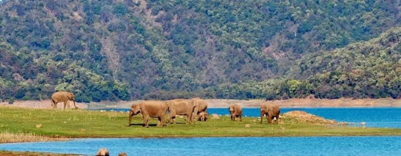 Jim Corbett: 3-Day Safari Tour by Flight from Bangalore - Frequently Asked Questions