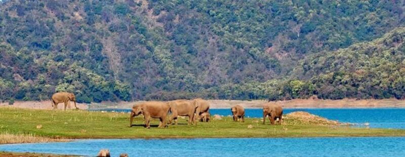 Jim Corbett: 3-Day Safari Tour by Flight from Mumbai - Key Points