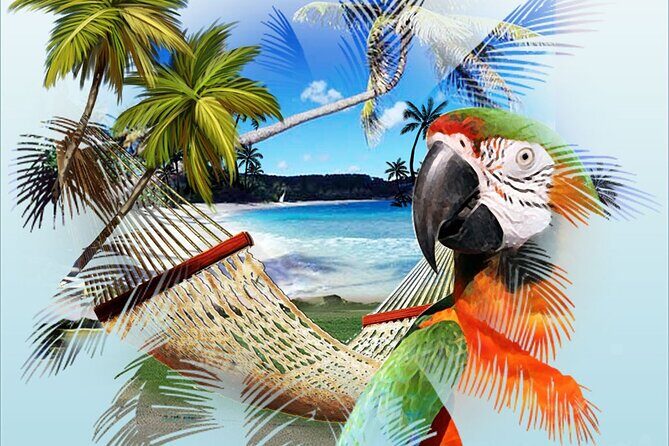 Jimmy Buffett Tour - FAQ