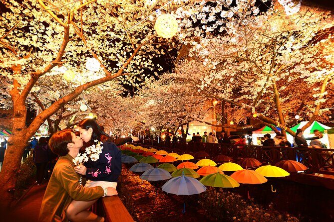 Jinhae Cherry Blossom Day trip from Busan - A Spring Adventure! - Who Will Love This Tour?