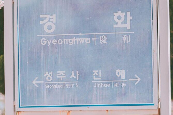 Jinhae Pink Cherry Blossom One Day Tour From Busan - Final Thoughts