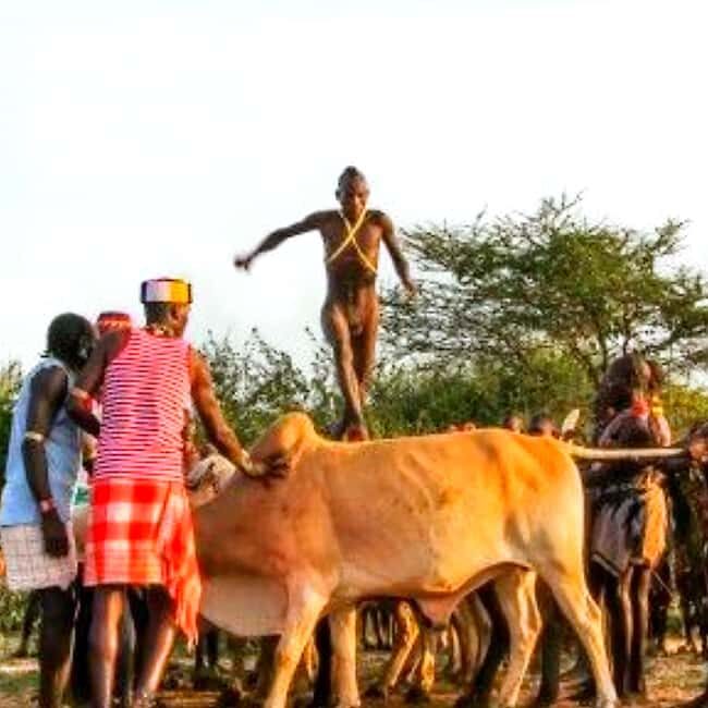 Jinka: 4-Day Omo Valley Tribes Tour with Accommodation - An In-Depth Look at the Experience