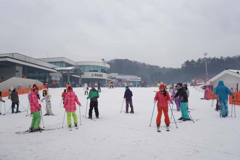 Jisan Forest Resort: Ski Full-Day Tour or Shuttle from Seoul - The Value of the Experience