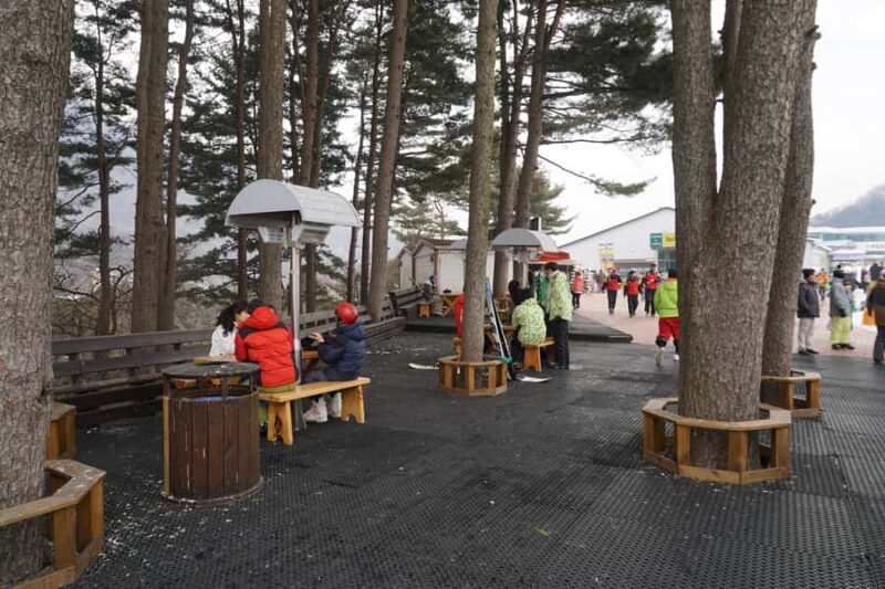 Jisan Forest Resort: Ski Full-Day Tour or Shuttle from Seoul - Practical Tips for Travelers