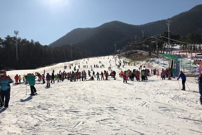Jisan Forest Ski Resort and Everland 1 Day Tour - An In-Depth Look at the Tour Experience