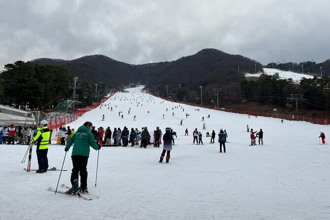 Jisan Forest Ski Resort and Everland 1 Day Tour - FAQs