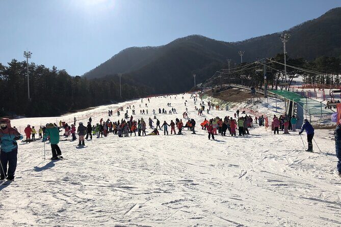 Jisan Ski One Day Tour - At Jisan Forest Ski Resort