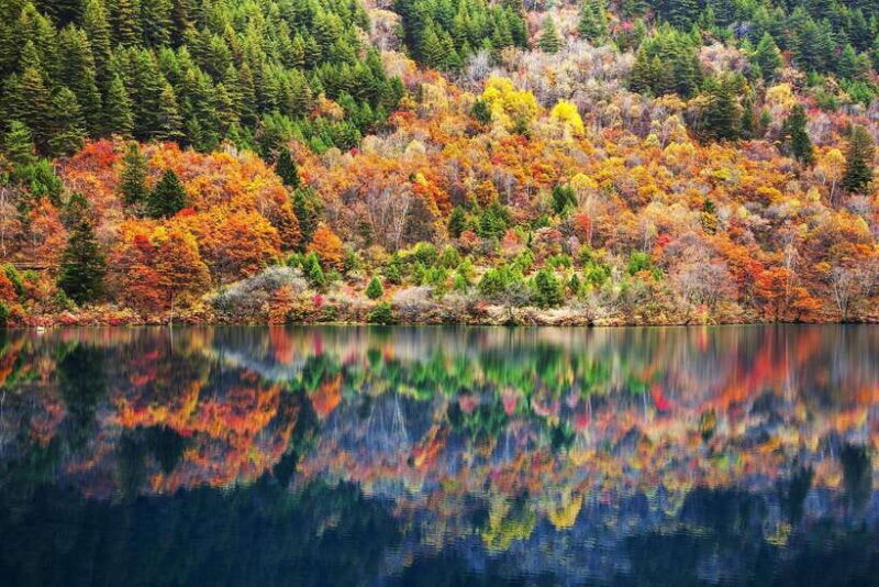 Jiuzhai Valley & Huanglong Scenic Area: 3-Day Private Tour - Who Should Consider This Tour?