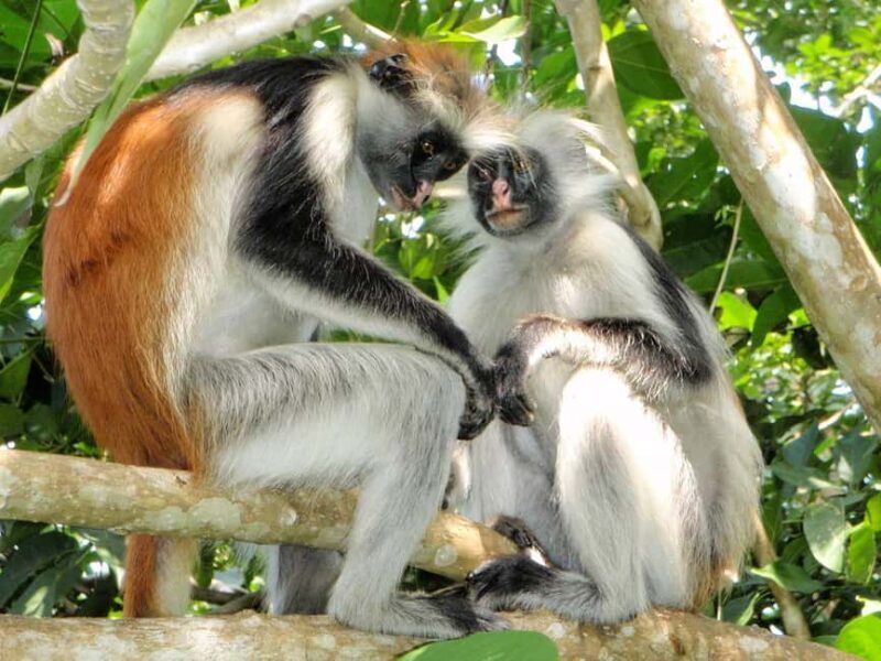 Joazani forest & Spice farm with lunch - Key Points