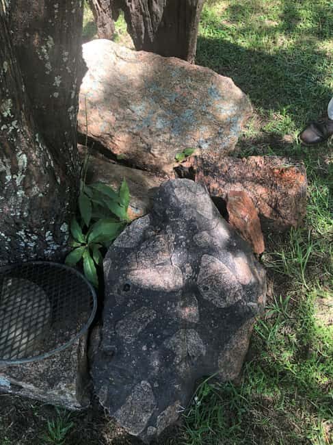 Joburg: Vredefort Dome World Heritage Site Full-Day Tour - Exploring the Vredefort Dome: A Geological Treasure