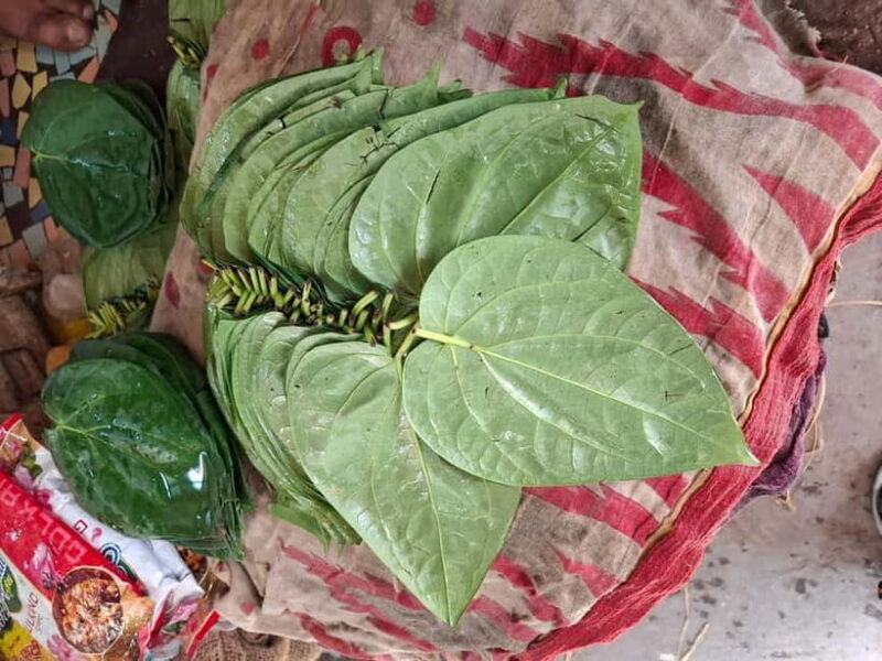 Jodhpur Blue City Heritage Walking Tour - The Market Experience and Local Food