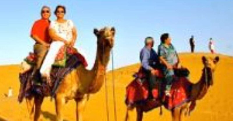 Jodhpur Camel & Jeep Safari with Sunset, Folk Dance, Dinner - Key Points