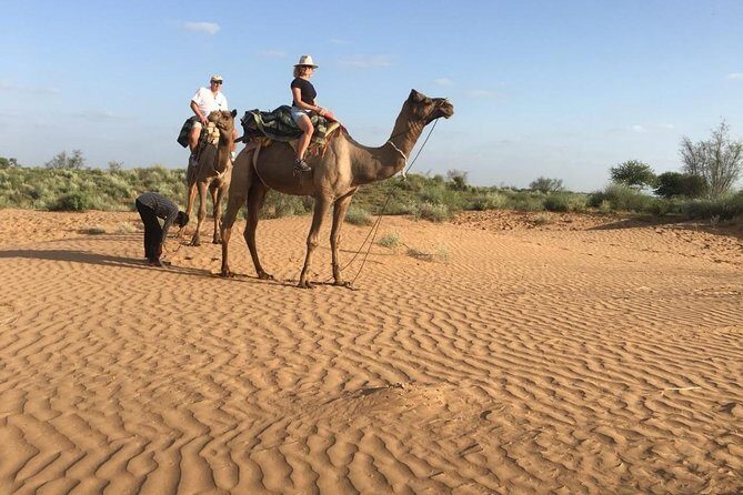 Jodhpur Camel Safari & Jeep Safari In Desert Jodhpur SR - An Overview of the Tour