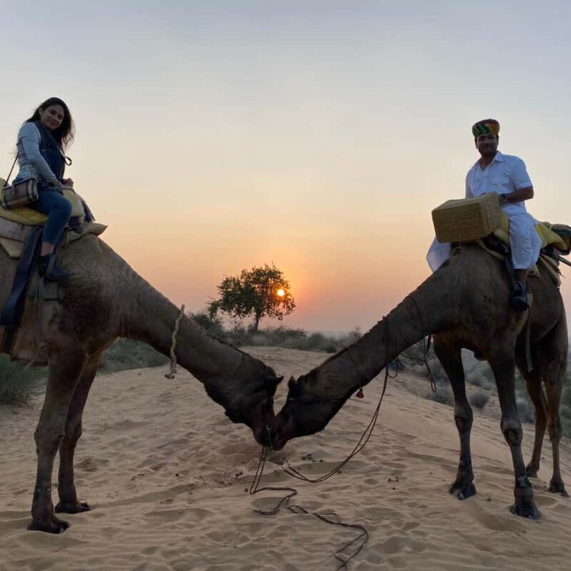 Jodhpur Camel Safari & Overnight Stay In Desert With Sumer - What Travelers Say: The Voice of Reviews