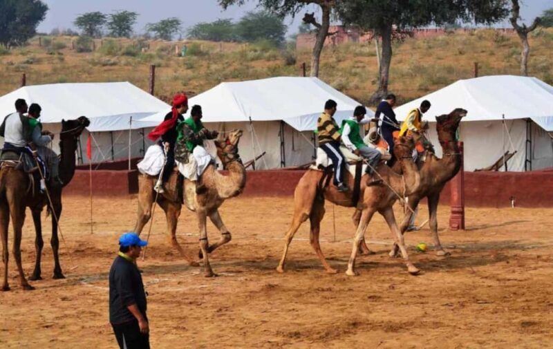 Jodhpur City Tour With Camel & Village Safari 2 Days - What to Expect: A Day-by-Day Breakdown
