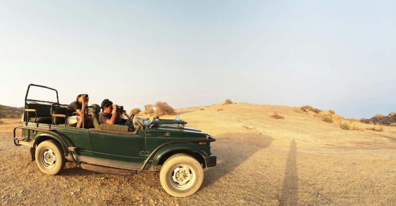 Jodhpur: Day Trip to Jawai Leopard Safari and Ranakpur - Deep Dive into the Details