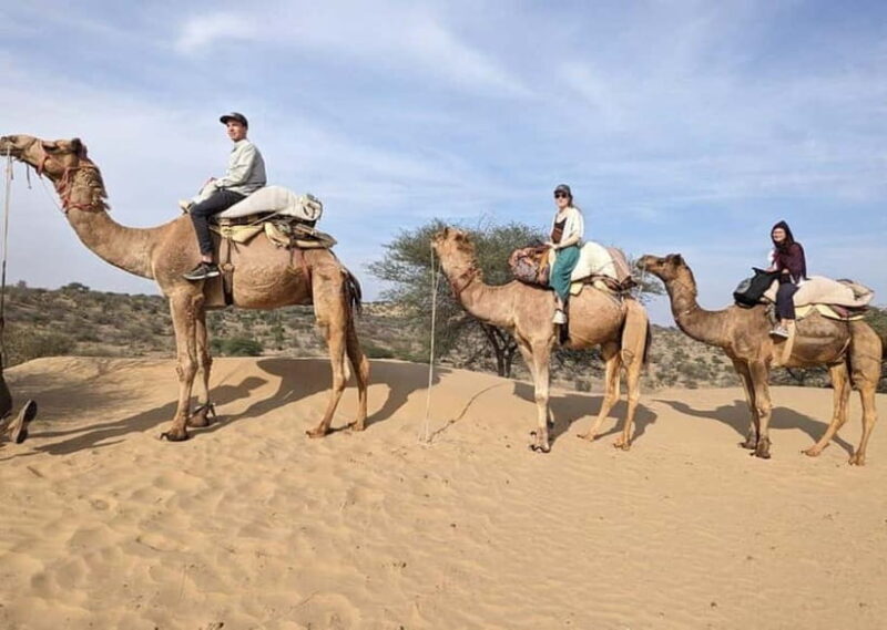 Jodhpur: Overnight Stay in Desert with Camel Safari - The Experience’s Strengths & Possible Drawbacks