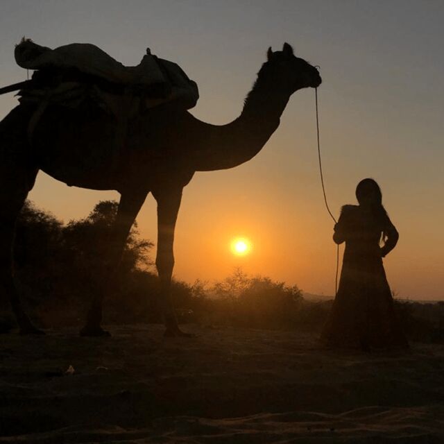 Jodhpur OvernightStay In Desert Rural Village With CamelRide - The Sum Up