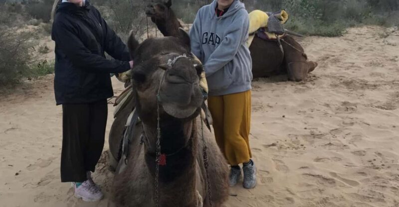Jodhpur OvernightStay In Desert Rural Village With CamelRide - FAQ