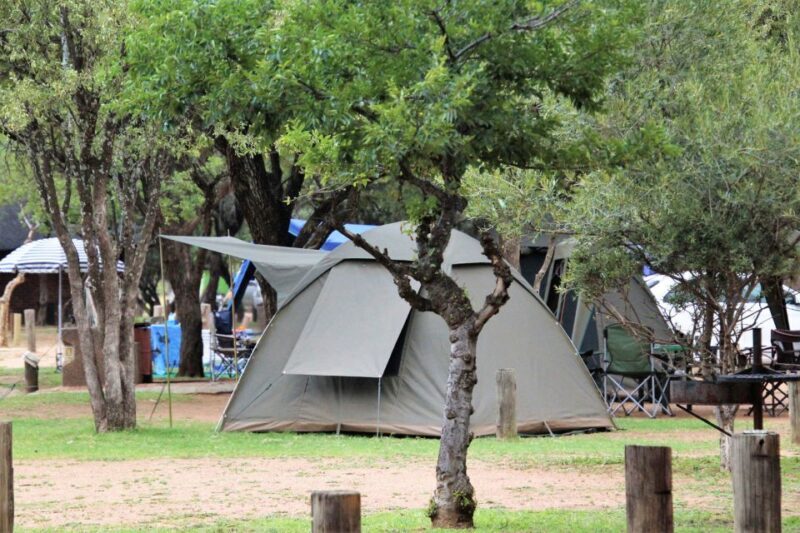 Johanessburg: 3-Day Pilanesberg Camping Adventure - Day 3: Sunrise, Return, and Reflection