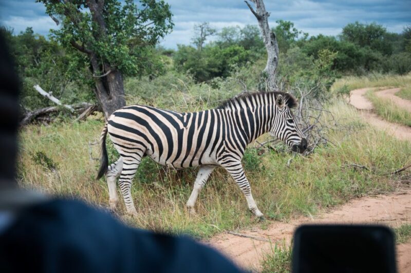 Johannesburg: 3-Day Classic Kruger National Park Safari Tour - Value and Considerations