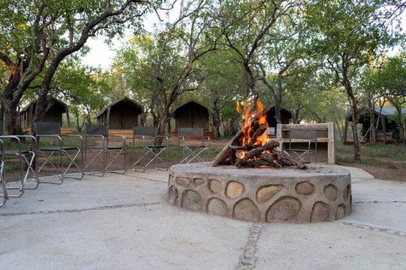 Johannesburg: 3-Day Kruger Budget Glamping Safari - Authentic Encounters and Authentic Experiences