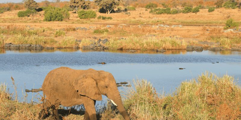 Johannesburg: 3-Day Kruger National Park and Panorama Route - FAQ