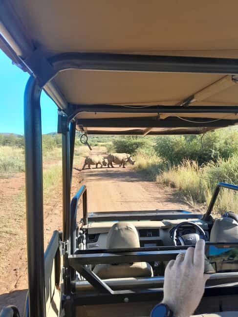 Johannesburg: 3 Hour Pilanesberg National Park Game Drive - Key Points