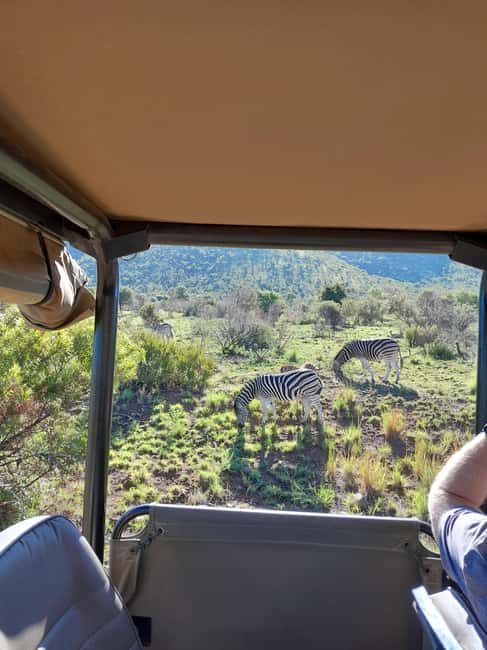 Johannesburg: 3 Hour Pilanesberg National Park Game Drive - An In-Depth Look at the Experience