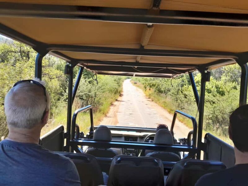 Johannesburg: 3 Hour Pilanesberg National Park Game Drive - Who This Tour is Best For