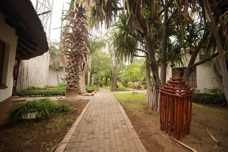 Johannesburg: 4-Day Classic Kruger National Park Safari - Authentic Reviews & Insights