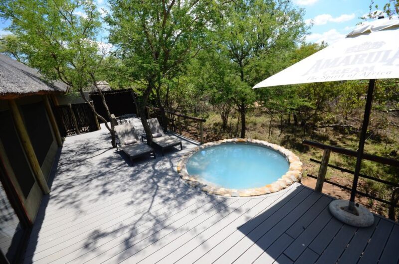 Johannesburg: 6-Day Luxury Kruger National Park Safari - Introducing the 6-Day Kruger Safari Experience