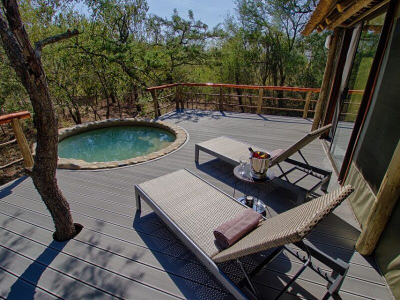 Johannesburg: 6-Day Luxury Kruger National Park Safari - What Makes This Safari Stand Out?