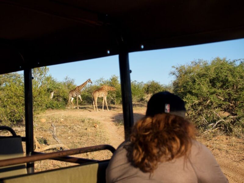 Johannesburg: 6-Day Luxury Kruger National Park Safari - Who Should Consider This Safari?