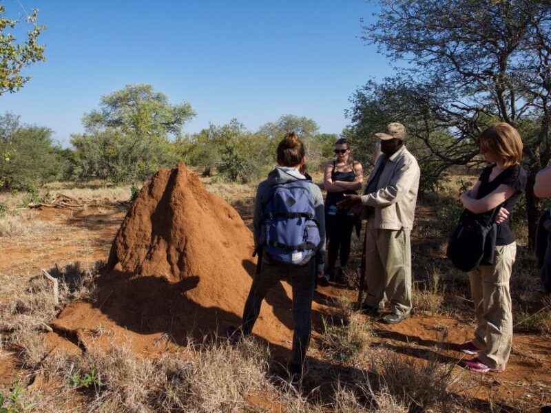 Johannesburg: 6-Day Luxury Kruger National Park Safari - FAQ