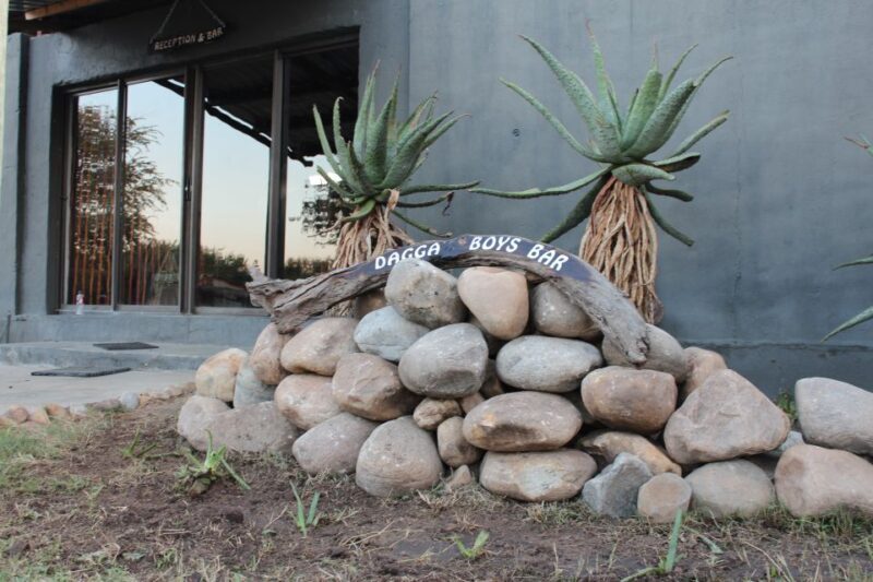 Johannesburg: Affordable 3 Day Kruger Park Safari - What to Expect from Your Safari Experience