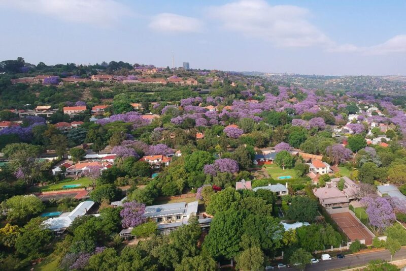 Johannesburg, Apartheid Museum & Soweto - Key Points
