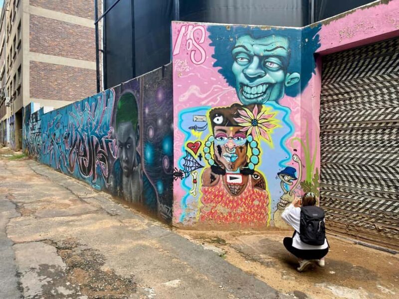 Johannesburg: Braamfontein Street Art & Culture Tour - The Sum Up
