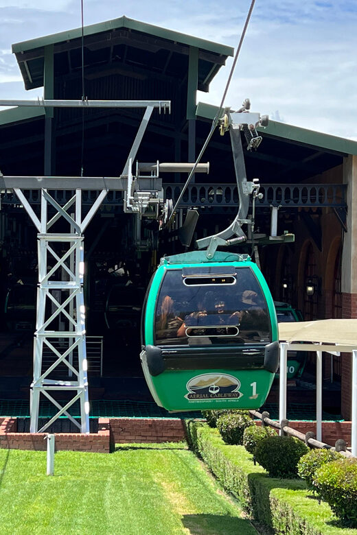 Johannesburg: Cableway and Lunch Boat Cruise Half Day Tour - An Overview of the Experience