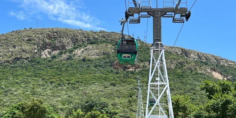 Johannesburg: Cableway and Lunch Boat Cruise Half Day Tour - Whats Included and Whats Not