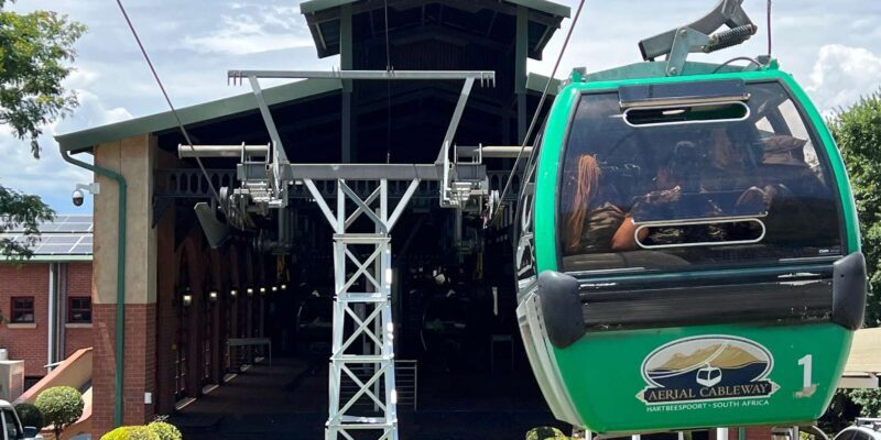 Johannesburg: Cableway and Lunch Boat Cruise Half Day Tour - Practical Tips for Travelers