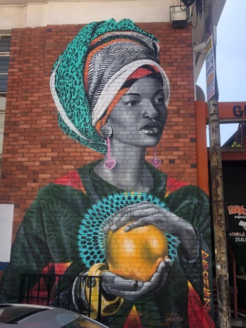 Johannesburg City Walking Excursion - Who Will Love This Tour?