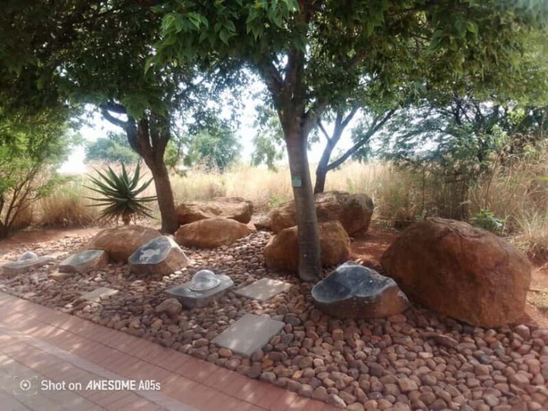 Johannesburg: Cradle of Humankind, Lion Park & Lesedi Tour - What We Love & What to Keep in Mind
