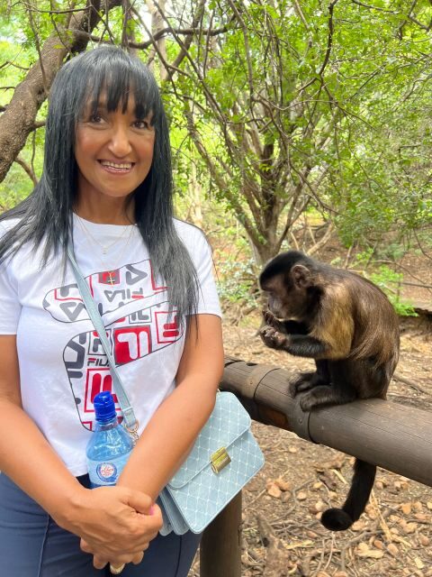Johannesburg: Elephant and Monkey Sanctuary Half Day Tour - Who Will Enjoy This Tour?