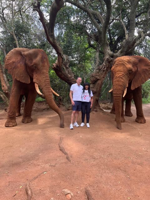 Johannesburg: Elephant and Monkey Sanctuary Half Day Tour - Final Thoughts