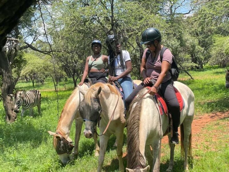 JOHANNESBURG: Horse Riding & Quad Biking Adventure - An Honest Look at the Experience